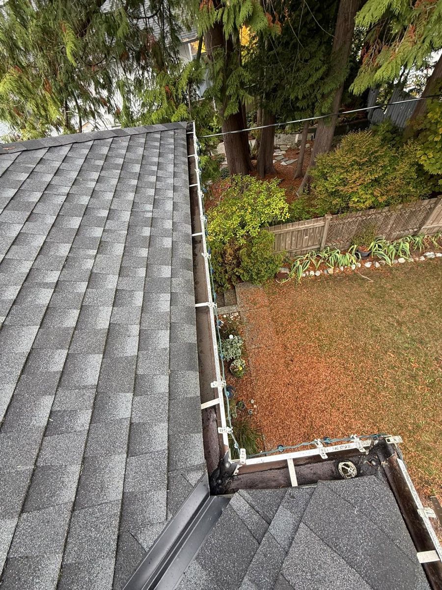 Clean gutter corner beside a treed backyard