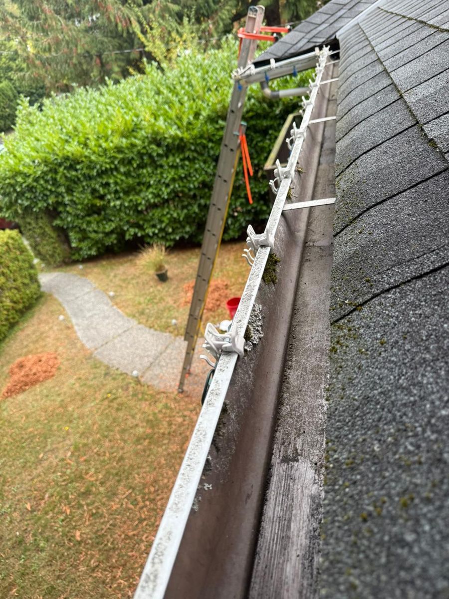 Gutter with moss along the edge under a shaded roof